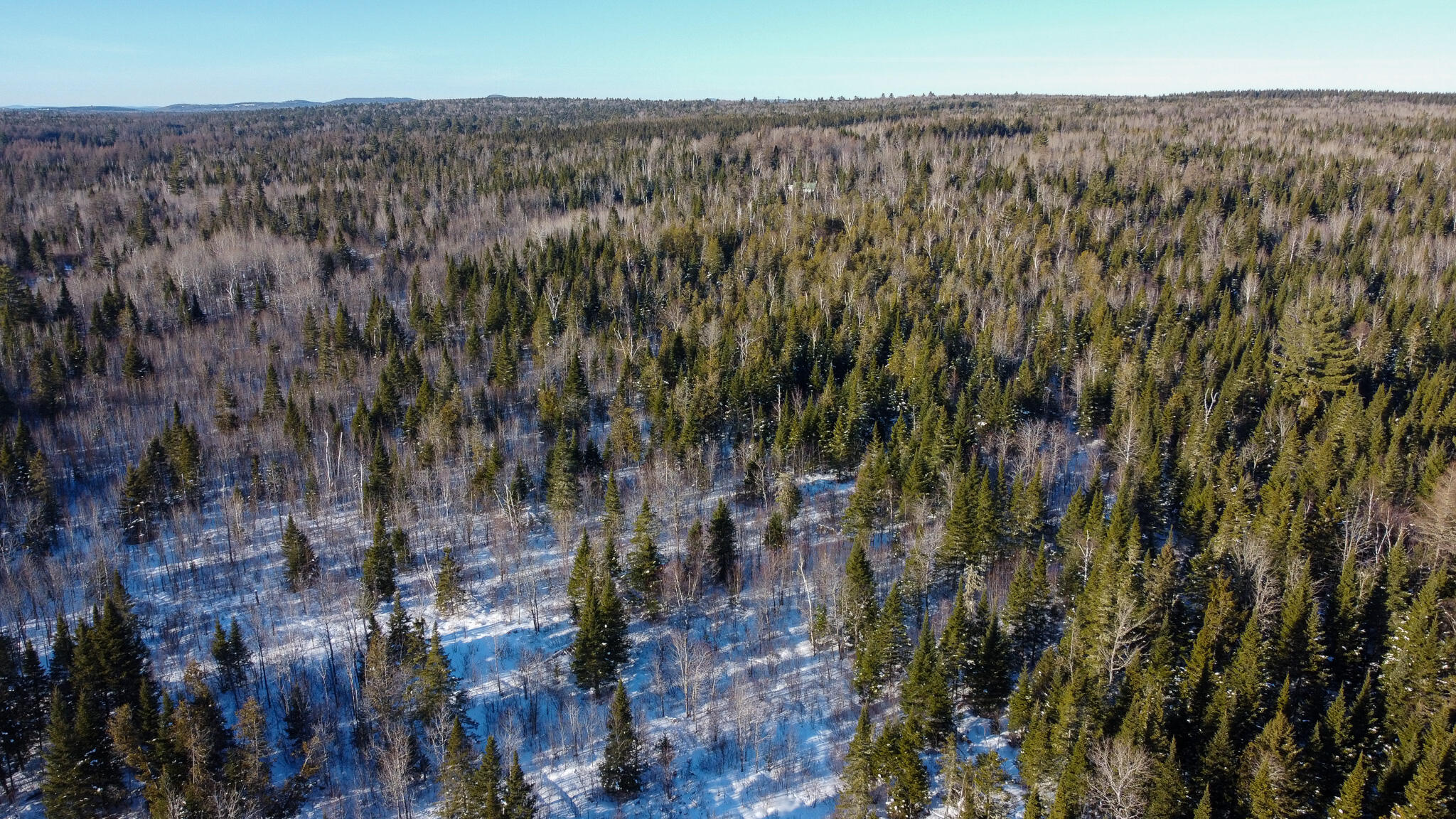 773 Wrightville Road Ashland, ME 04732 - Photo 7 of 21 DJI_0467