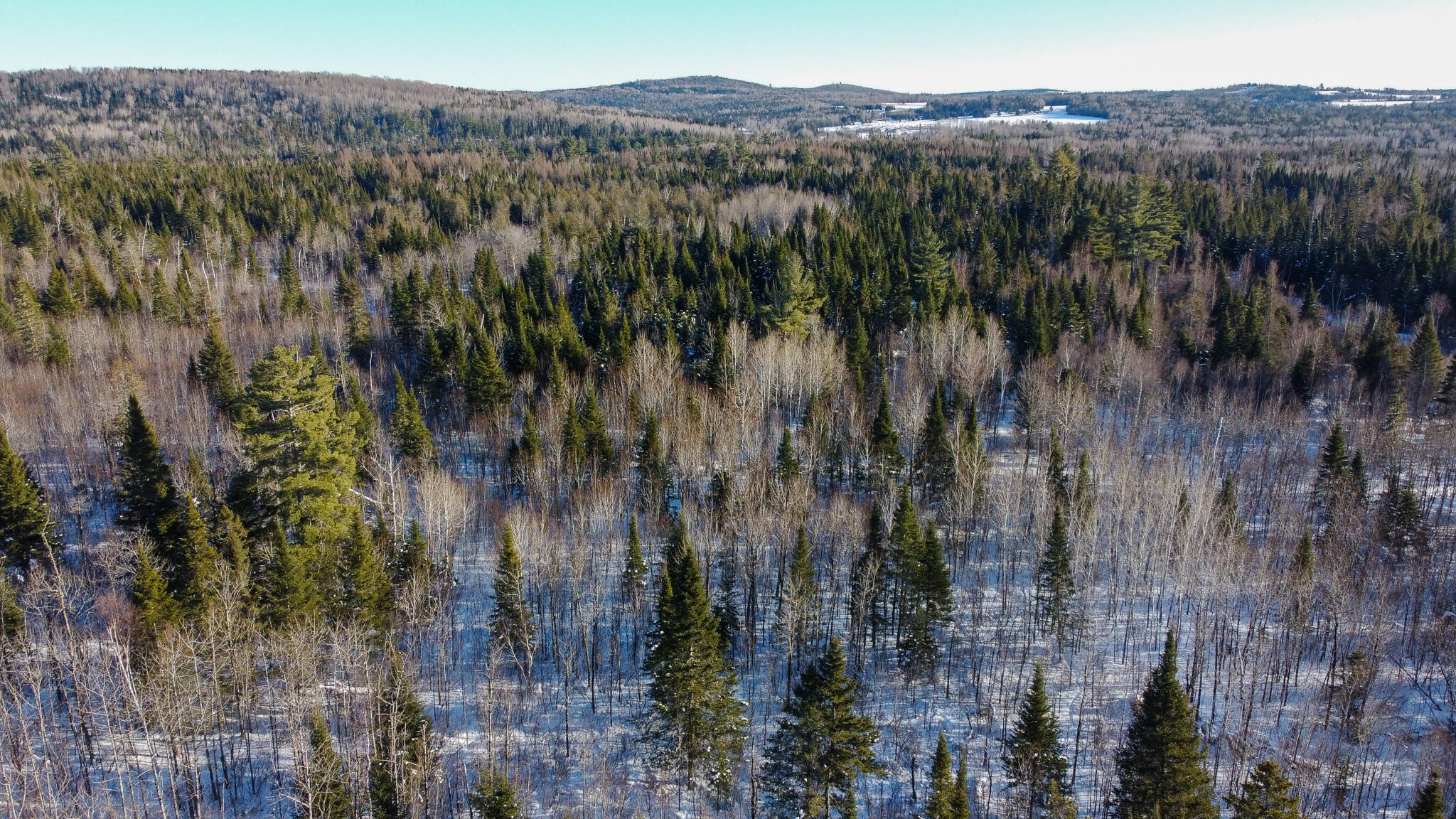 773 Wrightville Road Ashland, ME 04732 - Photo 9 of 21 DJI_0473