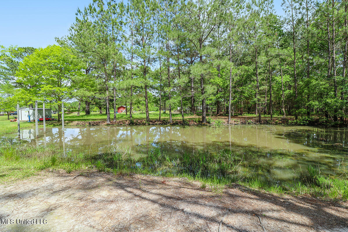 19020 Rucks Krans Road Moss Point, MS 39562 - Photo 2 of 30 2