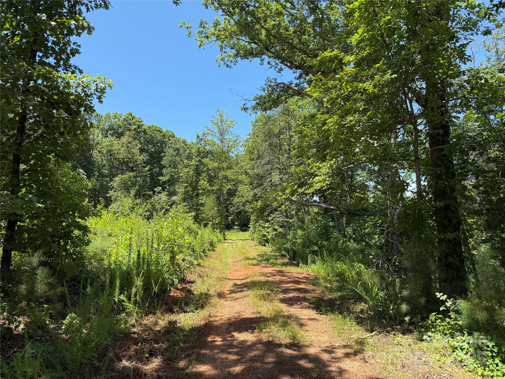 0 Collins Road, Unit 4 Forest City, NC 28043 - Photo 11 of 13