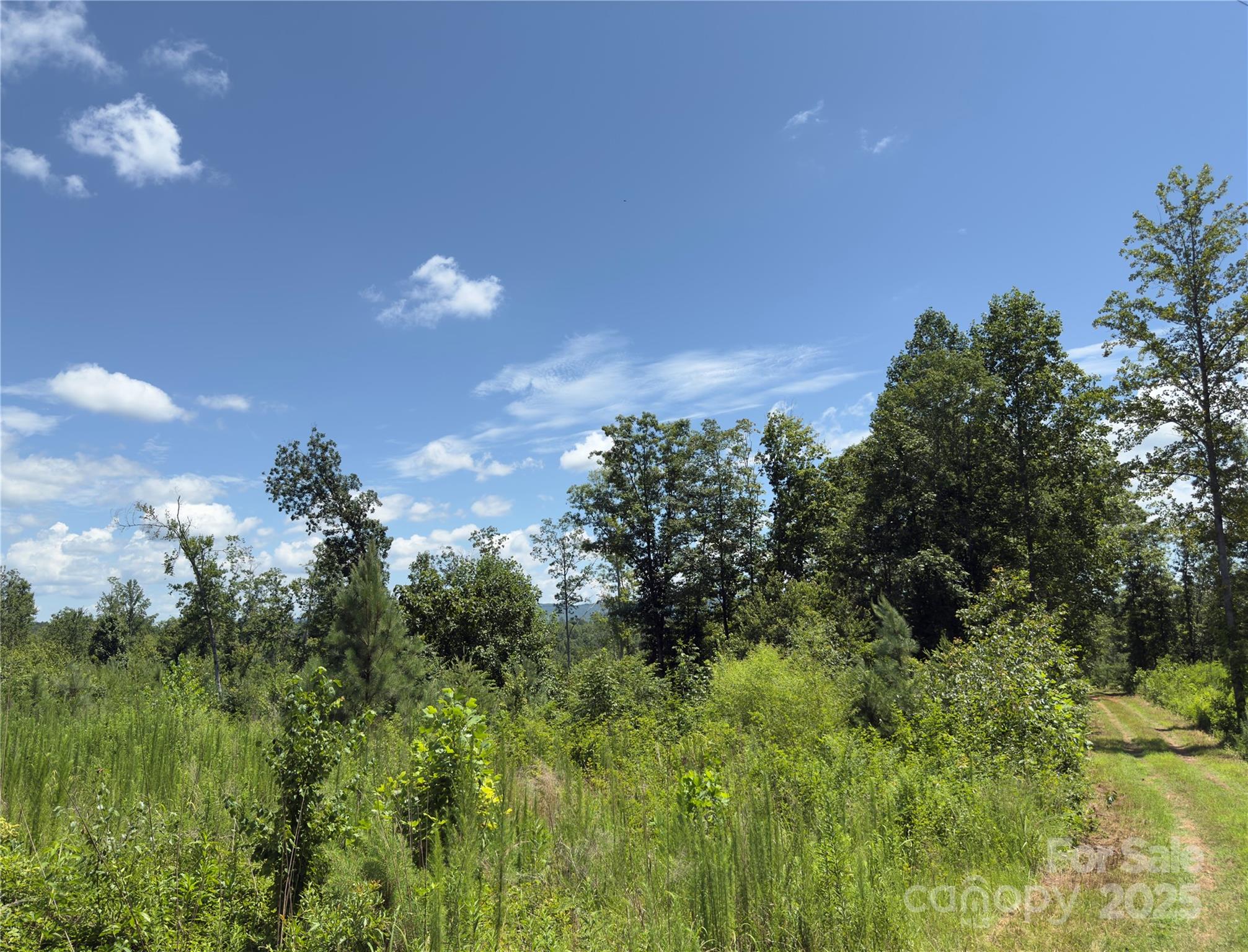 0 Collins Road, Unit 4 Forest City, NC 28043 - Photo 12 of 13