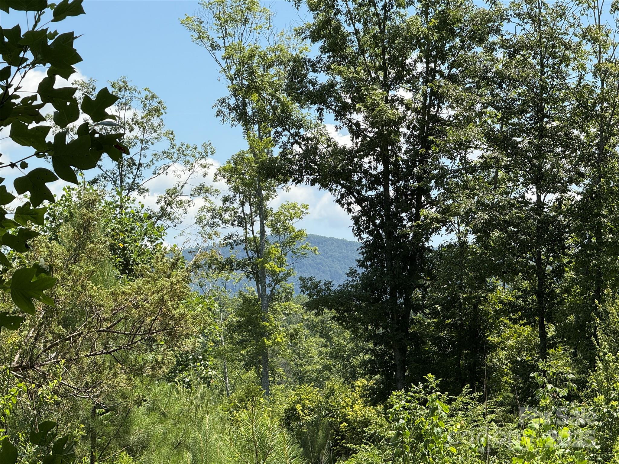 0 Collins Road, Unit 4 Forest City, NC 28043 - Photo 13 of 13