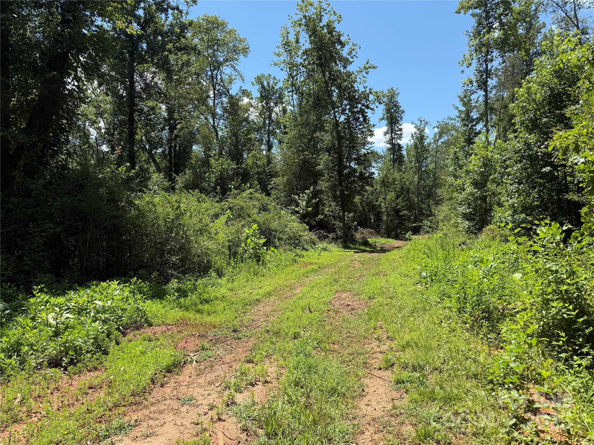 0 Collins Road, Unit 4 Forest City, NC 28043 - Photo 2 of 13