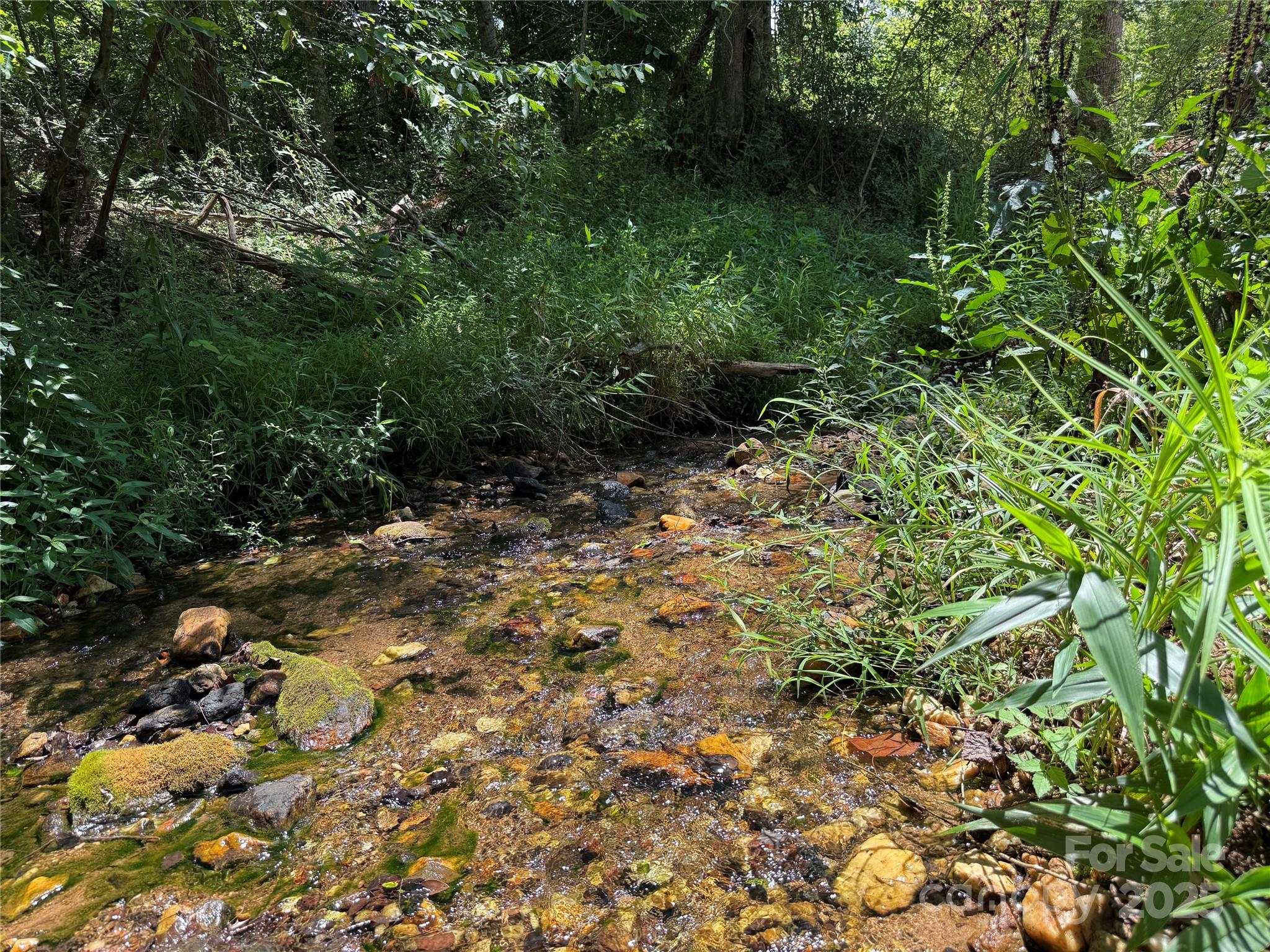 0 Collins Road, Unit 4 Forest City, NC 28043 - Photo 4 of 13