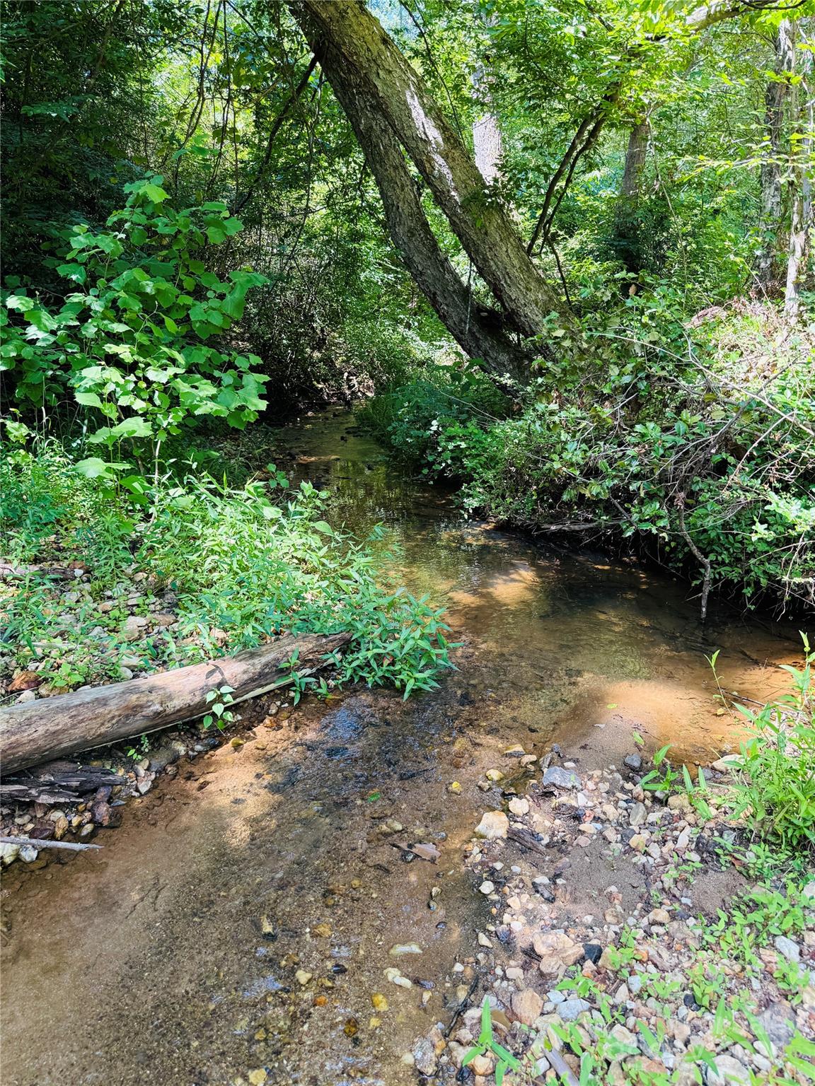 0 Collins Road, Unit 4 Forest City, NC 28043 - Photo 6 of 13