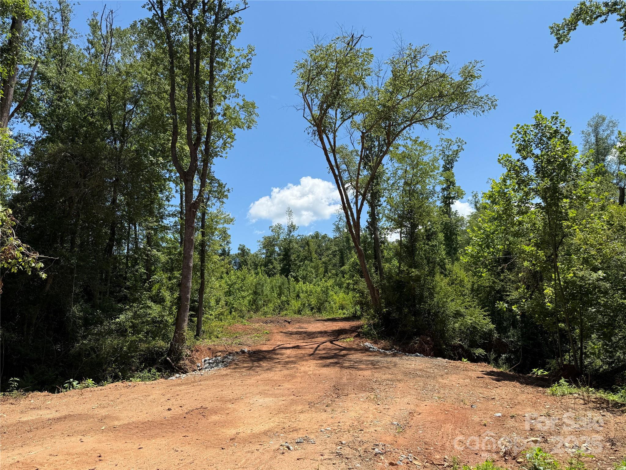 0 Collins Road, Unit 4 Forest City, NC 28043 - Photo 8 of 13
