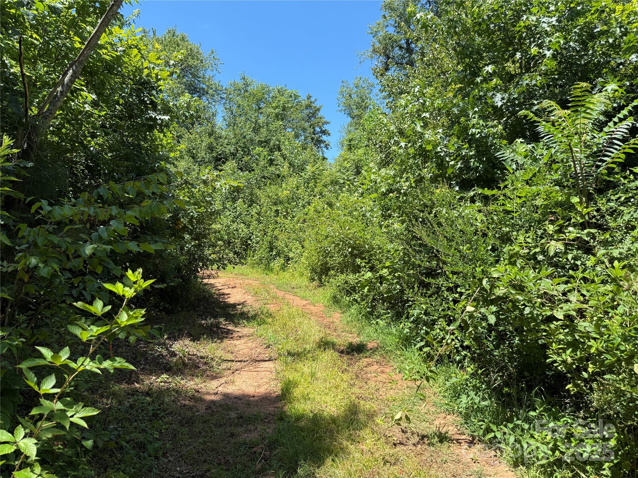 0 Collins Road, Unit 4 Forest City, NC 28043 - Photo 9 of 13