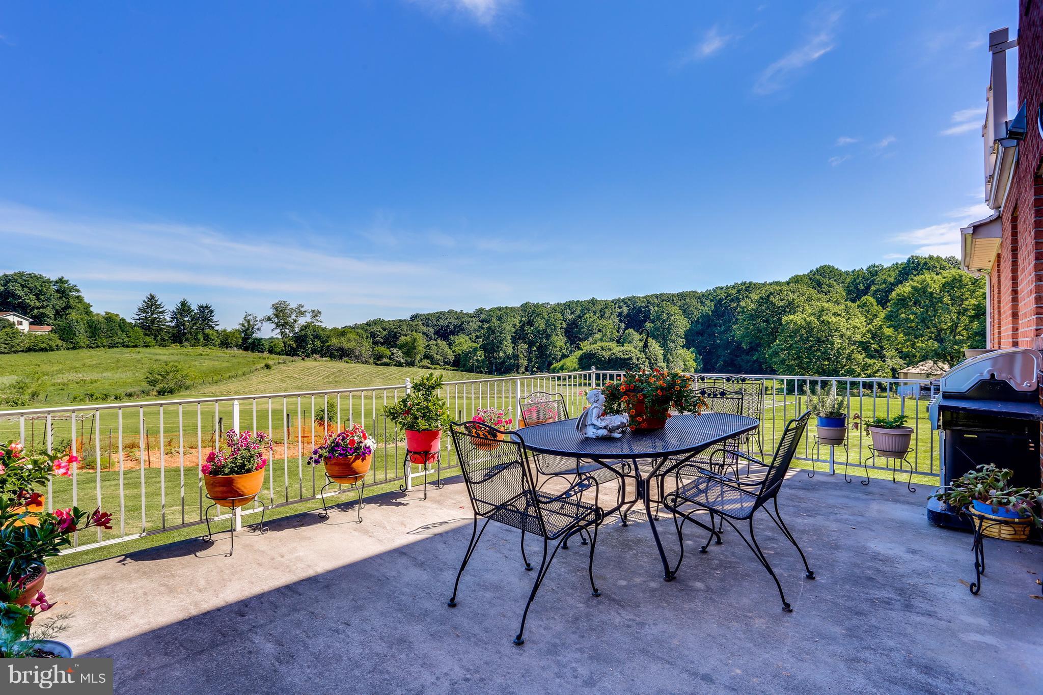 17194 Hardy Road Mount Airy, MD 21771 - Photo 2 of 29 Patio off Kitchen