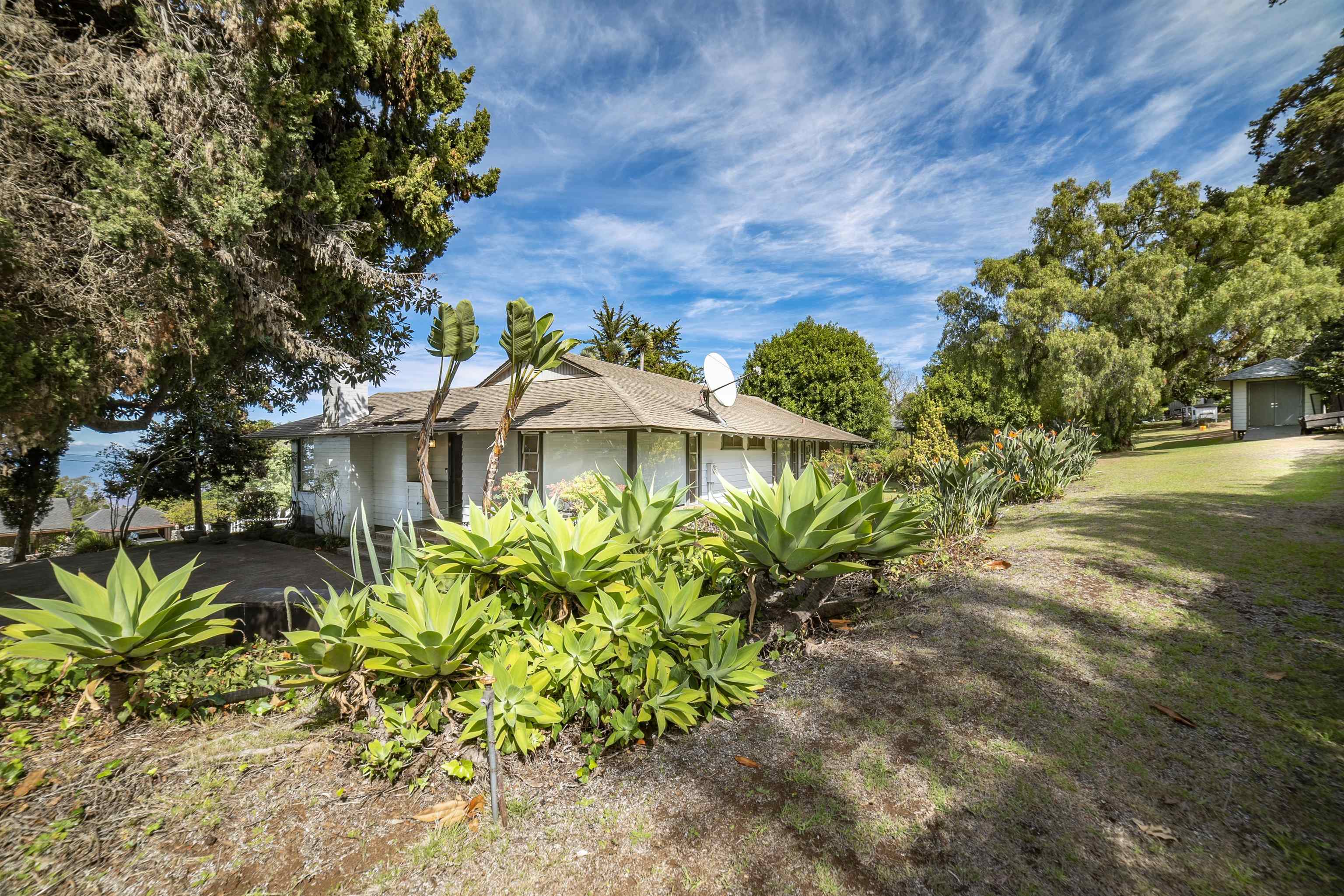 100 A Ihe Place Kula, HI 96790 - Photo 21 of 21 a view of a garden with plants