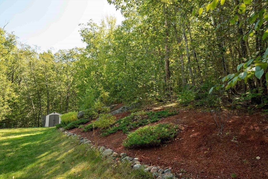4 Farrar Road Upton, MA 01568 - Photo 31 of 37 a view of a trees with a yard