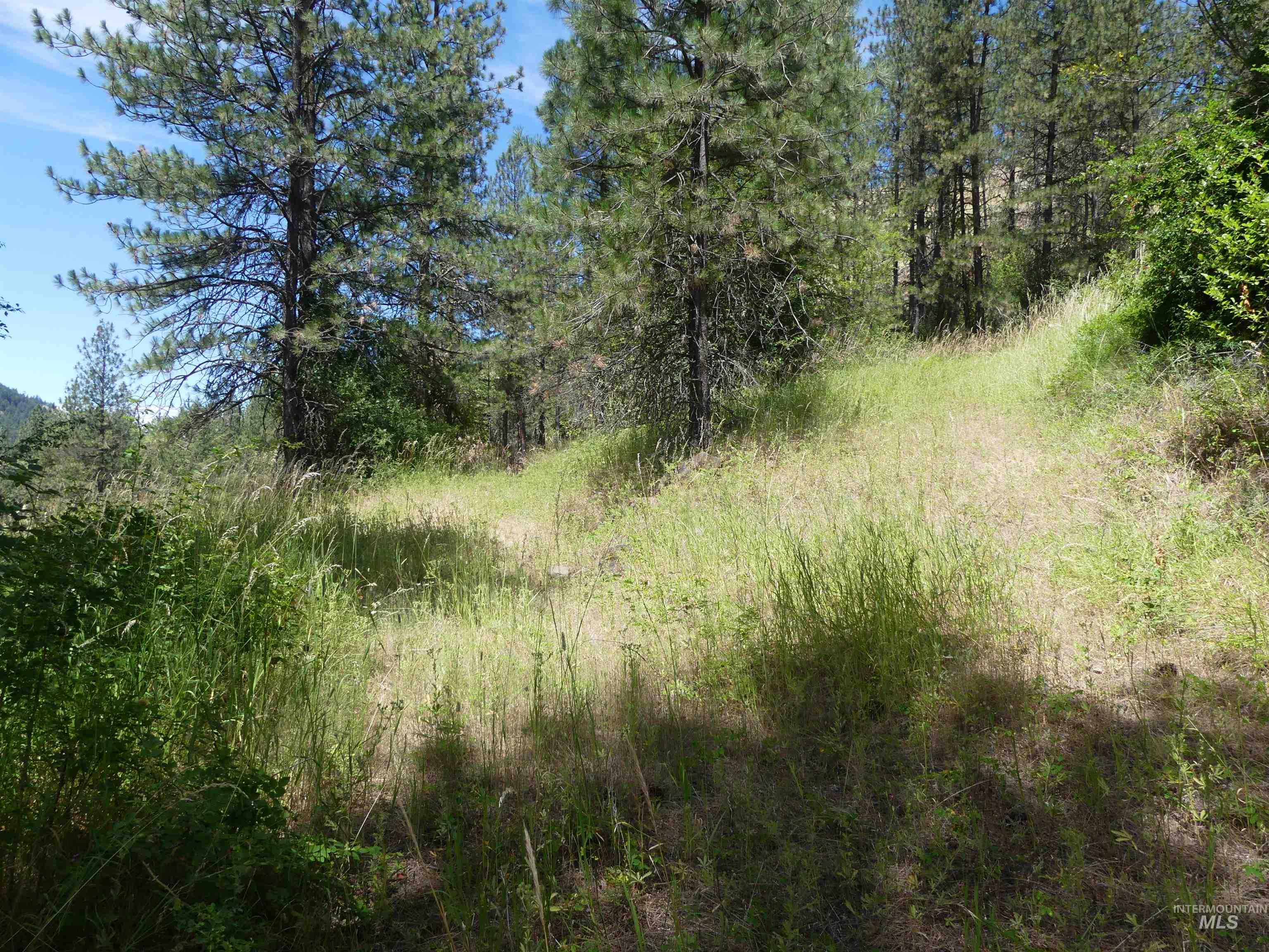 46601 Little Canyon Road Orofino, ID 83544 - Photo 43 of 46