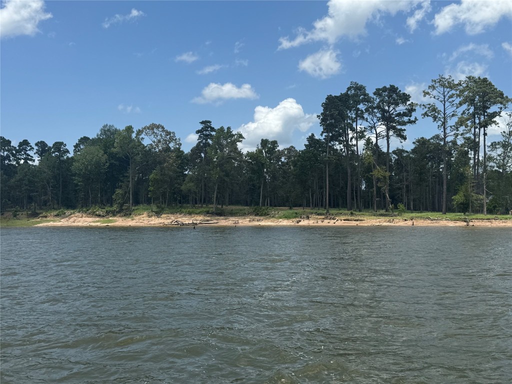 347 Debbie Lane Bronson, TX 75930 - Photo 17 of 17 a view of swimming pool with a yard