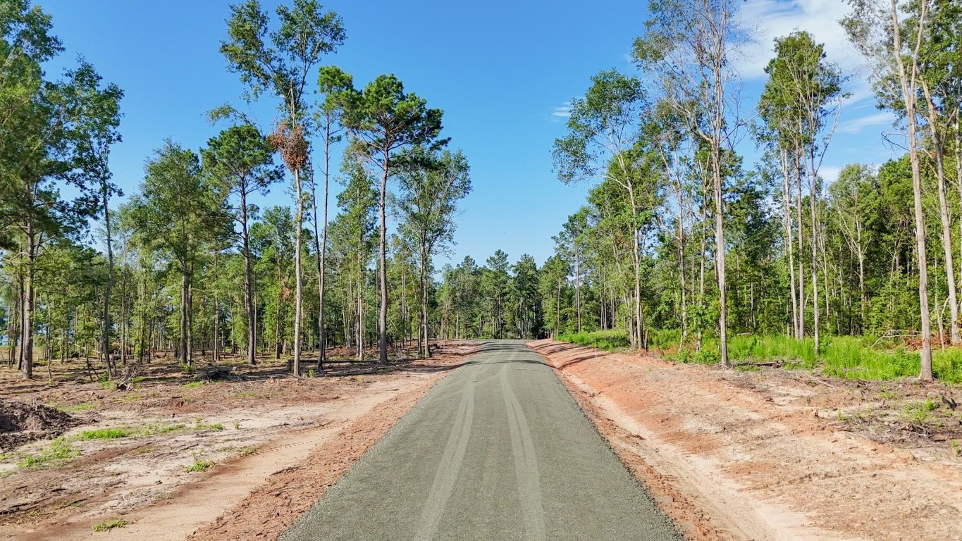347 Debbie Lane Bronson, TX 75930 - Photo 5 of 17 a view of road with trees