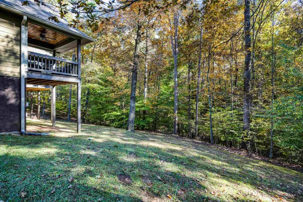 a view of a street with a tree