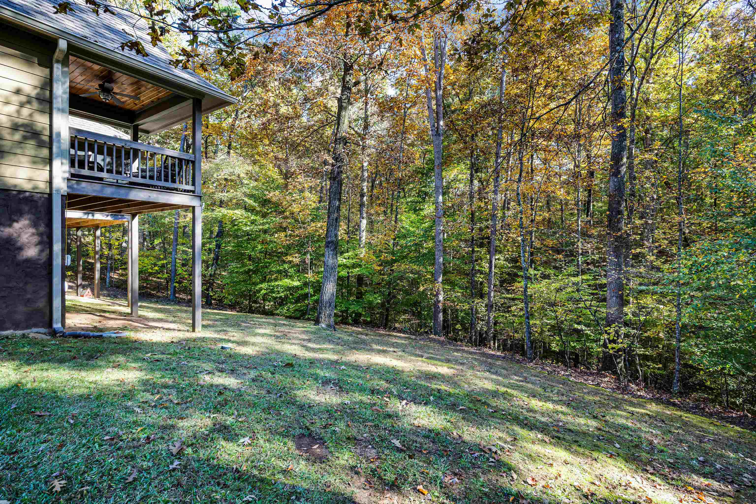145 Chval Drive Counce, TN 38326 - Photo 22 of 28 a view of a street with a tree