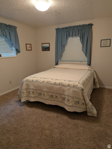 1040 West Mill Road Ferron, UT 84523 - Photo 55 of 117 Carpeted flooring, recessed window, and flush-mount ceiling light fixture