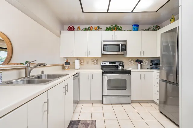 a kitchen with a sink cabinets and stainless steel appliances
