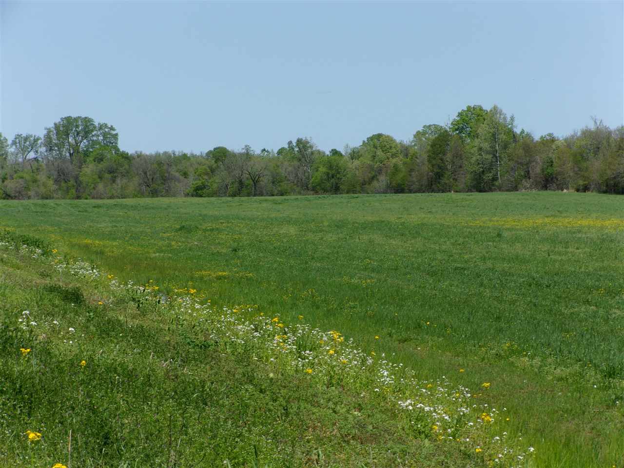 a view of a green field with trees in the background