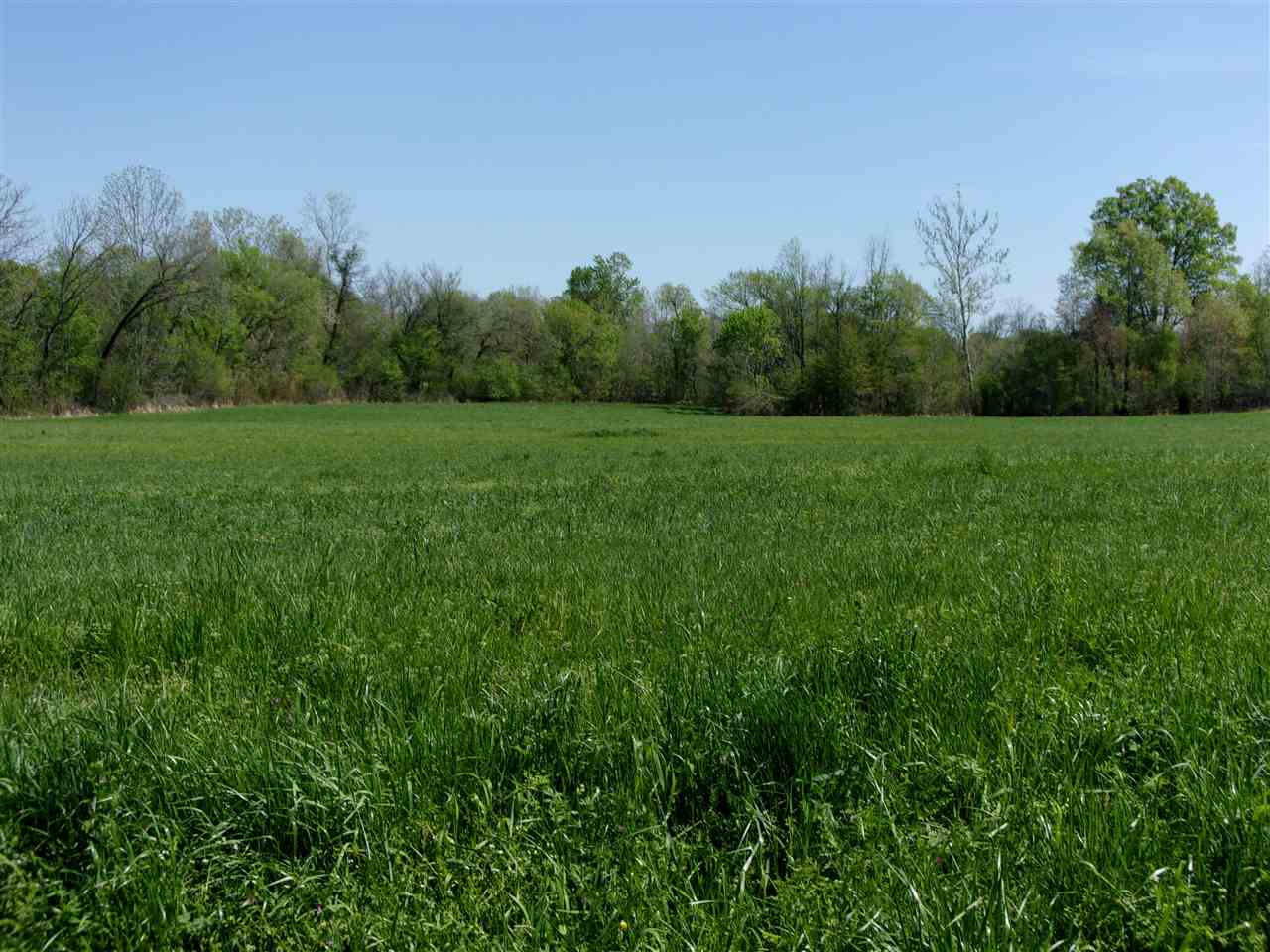 0 Lovelace Crossing Road Henning, TN 38041 - Photo 3 of 9 a view of field with trees in the background