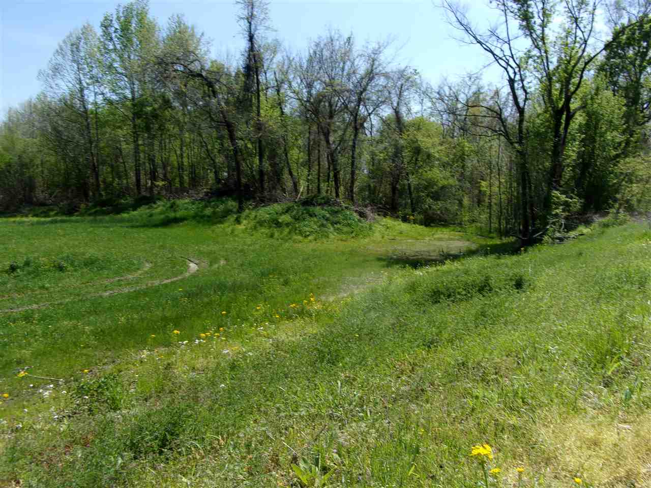 0 Lovelace Crossing Road Henning, TN 38041 - Photo 4 of 9 a view of backyard with green space