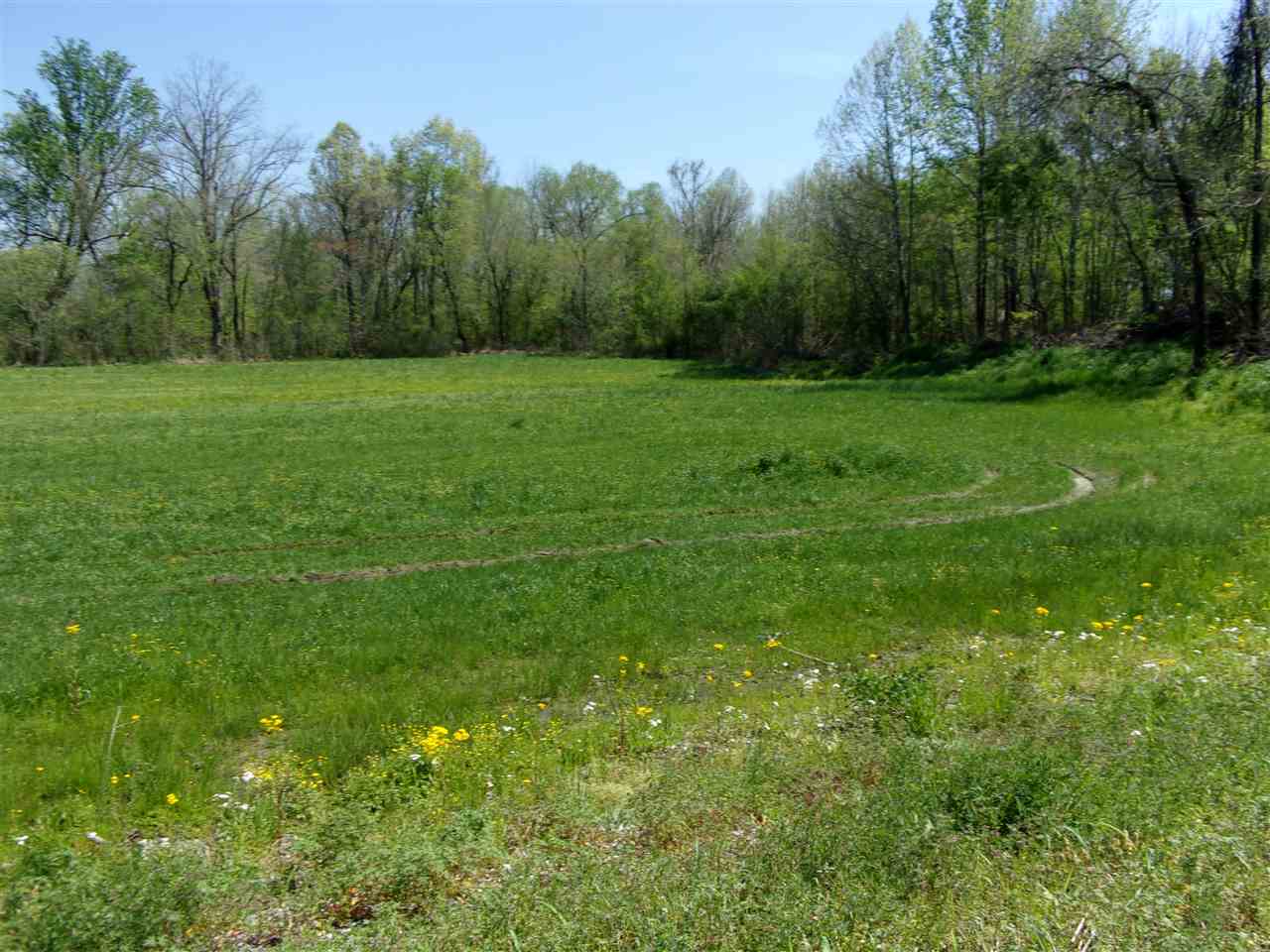 0 Lovelace Crossing Road Henning, TN 38041 - Photo 5 of 9 a view of a grassy field with trees in the background