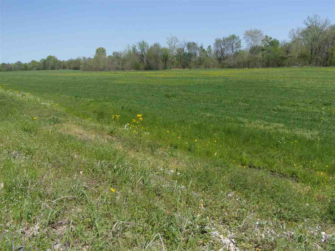 0 Lovelace Crossing Road Henning, TN 38041 - Photo 6 of 9 a view of a green field with trees in the background