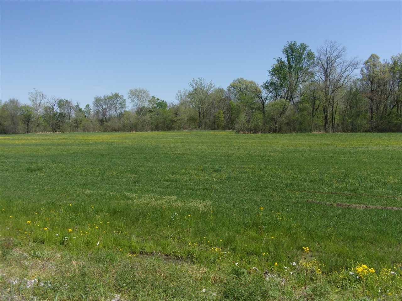 0 Lovelace Crossing Road Henning, TN 38041 - Photo 7 of 9 a view of field with trees in the background