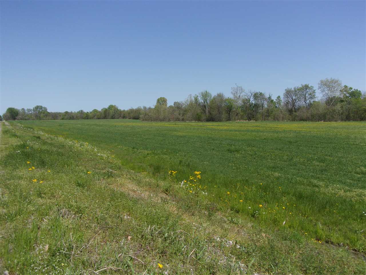 0 Lovelace Crossing Road Henning, TN 38041 - Photo 8 of 9 a view of field with grass and trees