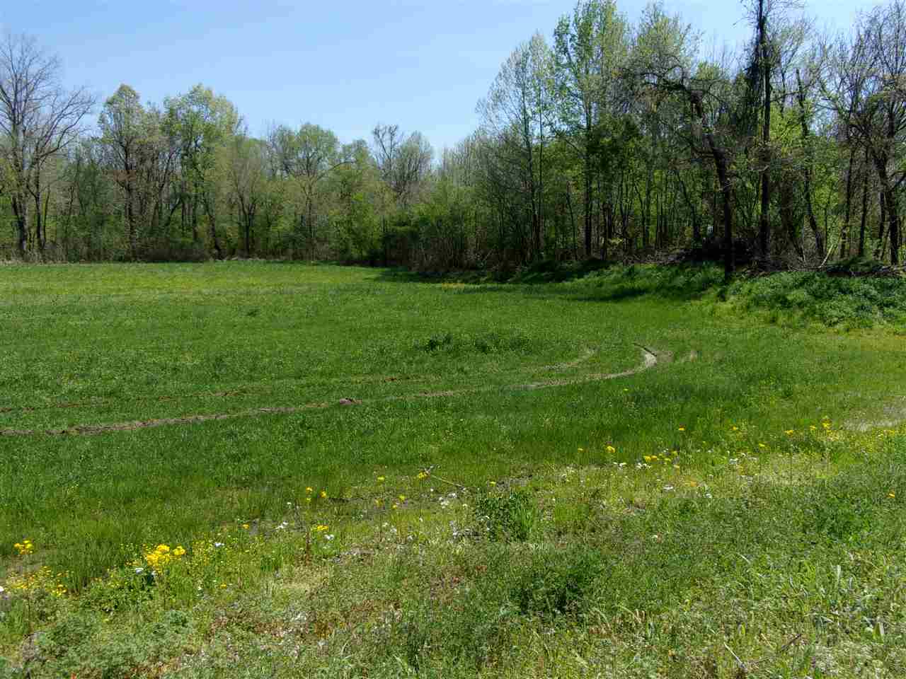 0 Lovelace Crossing Road Henning, TN 38041 - Photo 9 of 9 a view of a grassy field with trees in the background