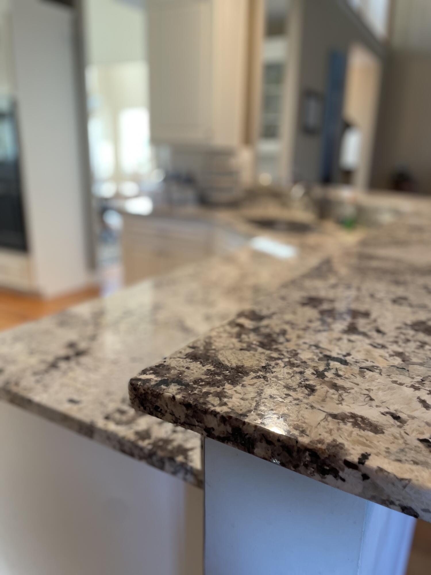 4715 Westervelt Road Meggett, SC 29449 - Photo 16 of 98 Breakfast Bar
