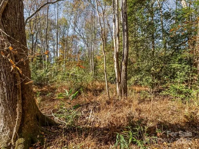 a view of a pathway of a building