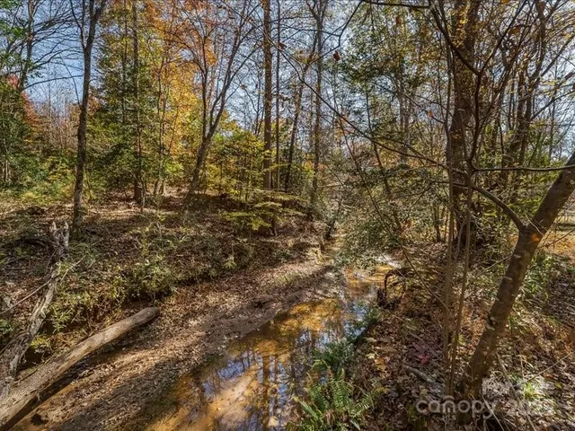 a view of a yard with a tree