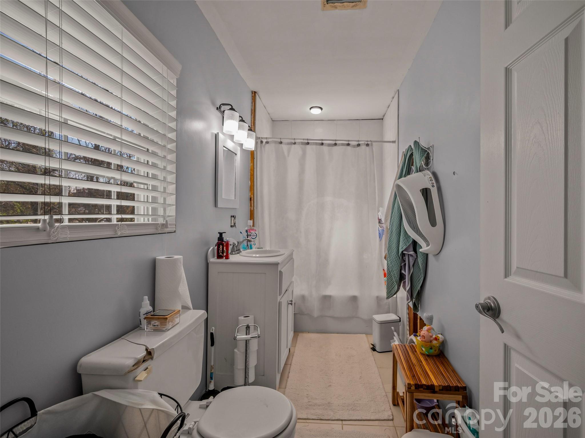 120 East Howard Street Tryon, NC 28782 - Photo 8 of 31 a bathroom with a toilet sink and mirror
