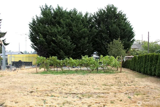 a view of a yard with plants