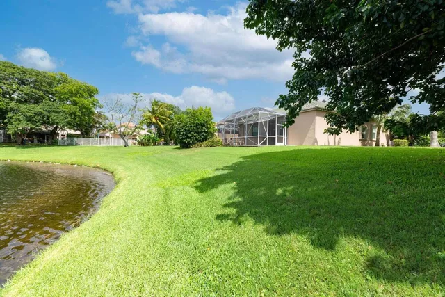 a view of a big yard with plants and large trees
