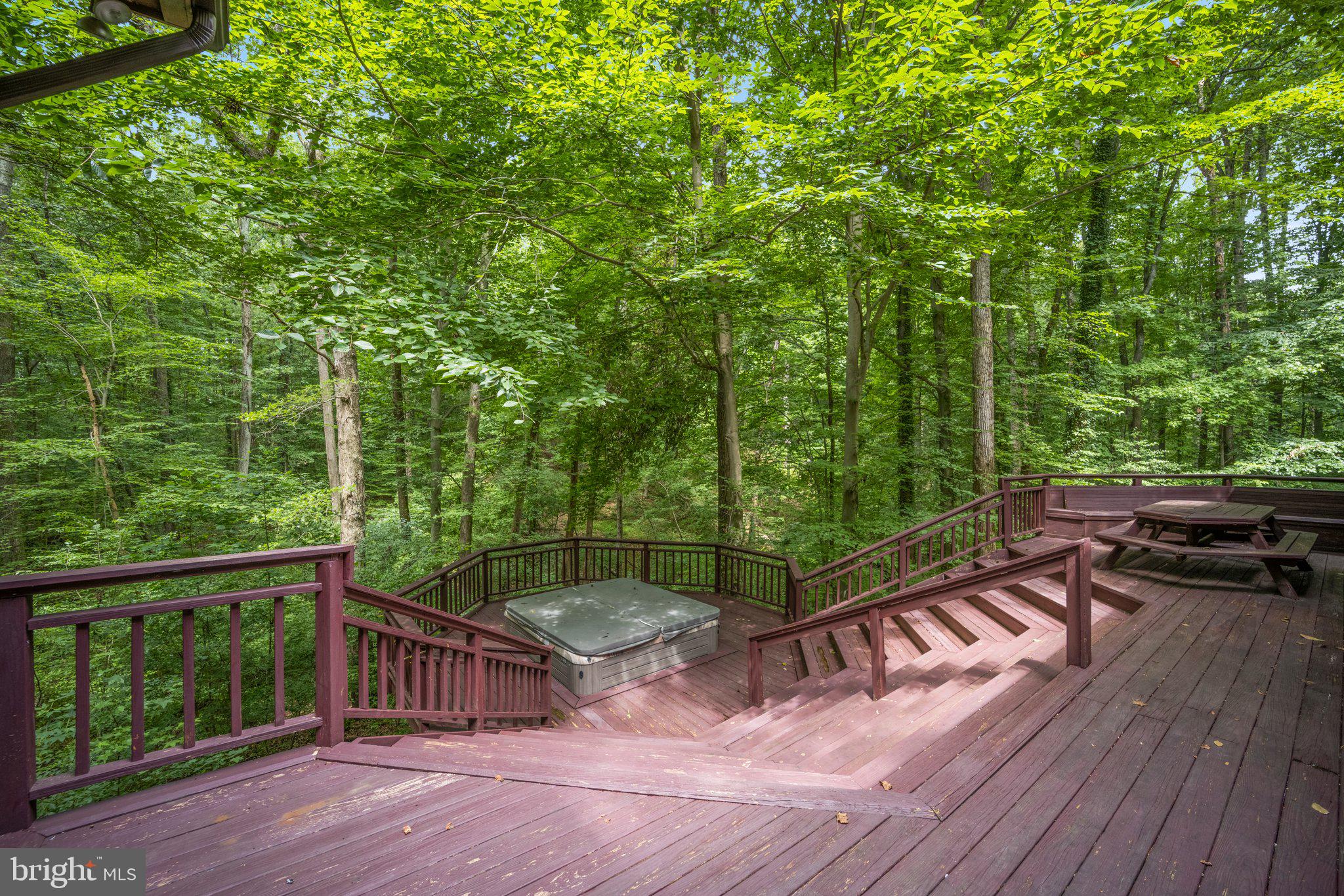 810 Governor Bridge Road Davidsonville, MD 21035 - Photo 51 of 57 Rear deck with Hot tub