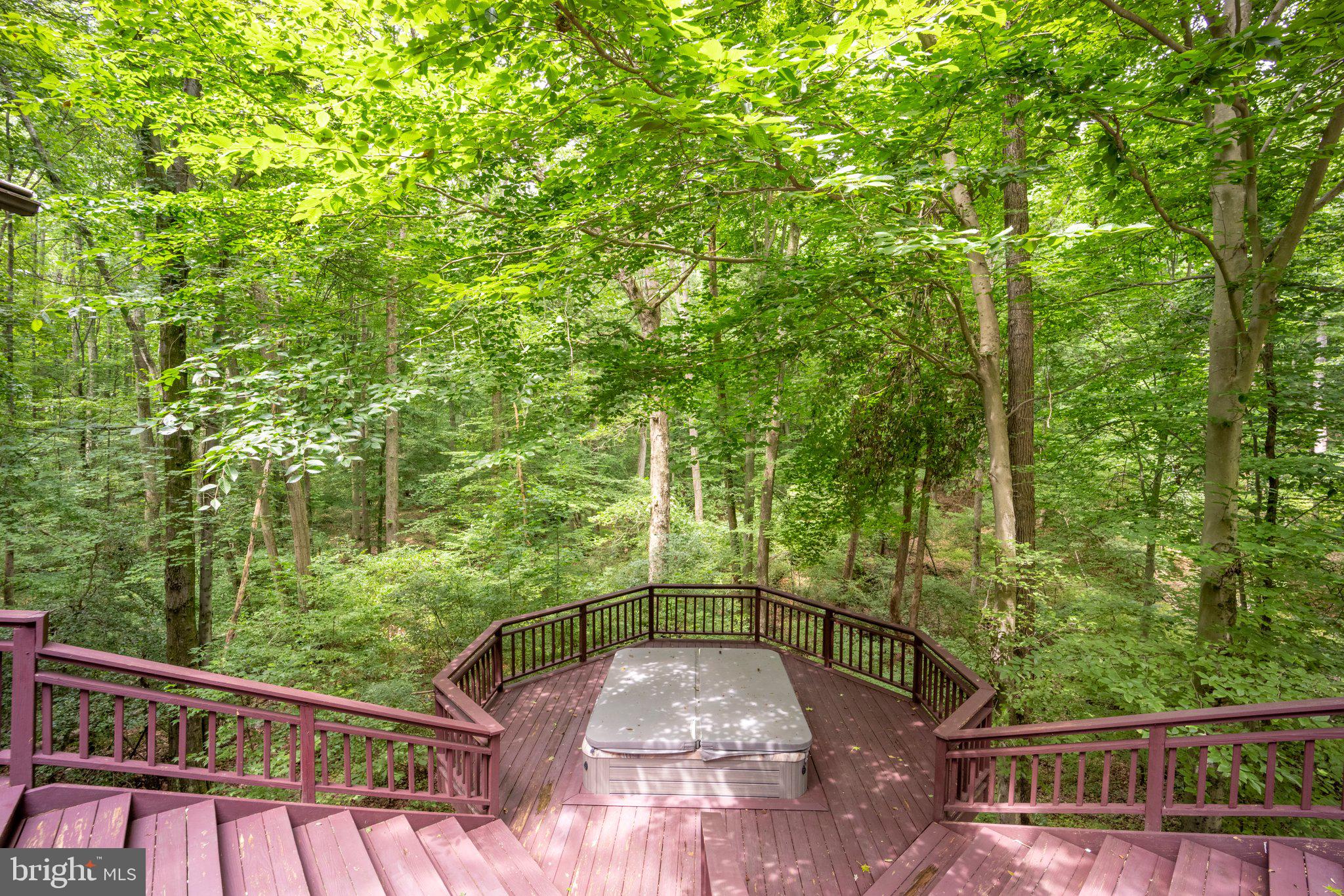 810 Governor Bridge Road Davidsonville, MD 21035 - Photo 52 of 57