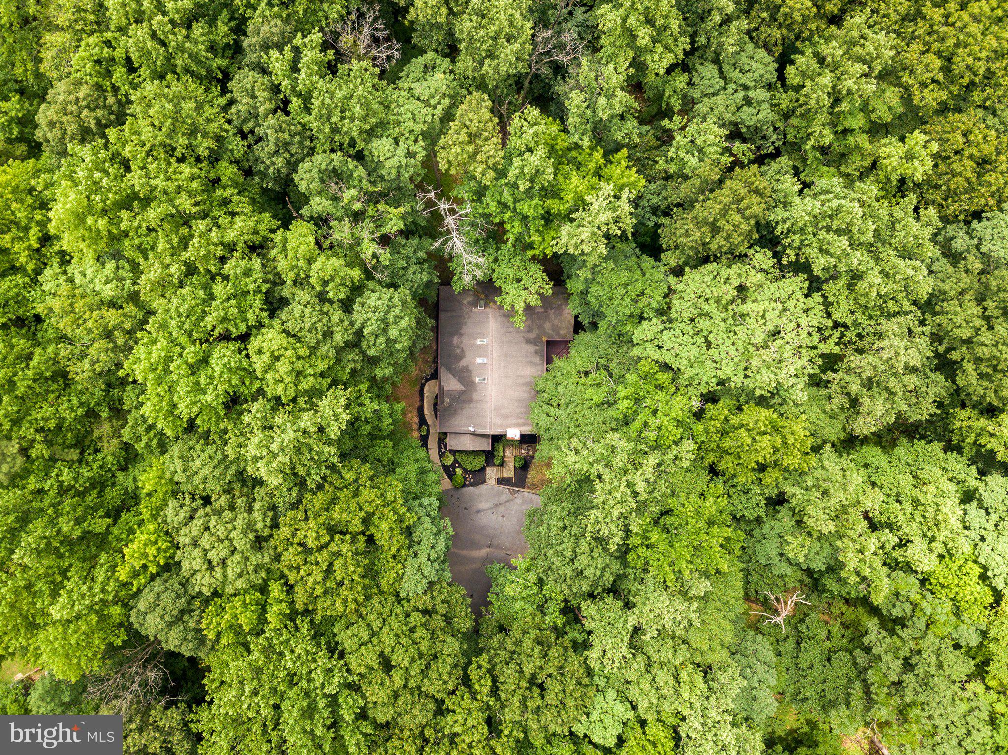 810 Governor Bridge Road Davidsonville, MD 21035 - Photo 53 of 57 Almost 10 acres of secluded peace