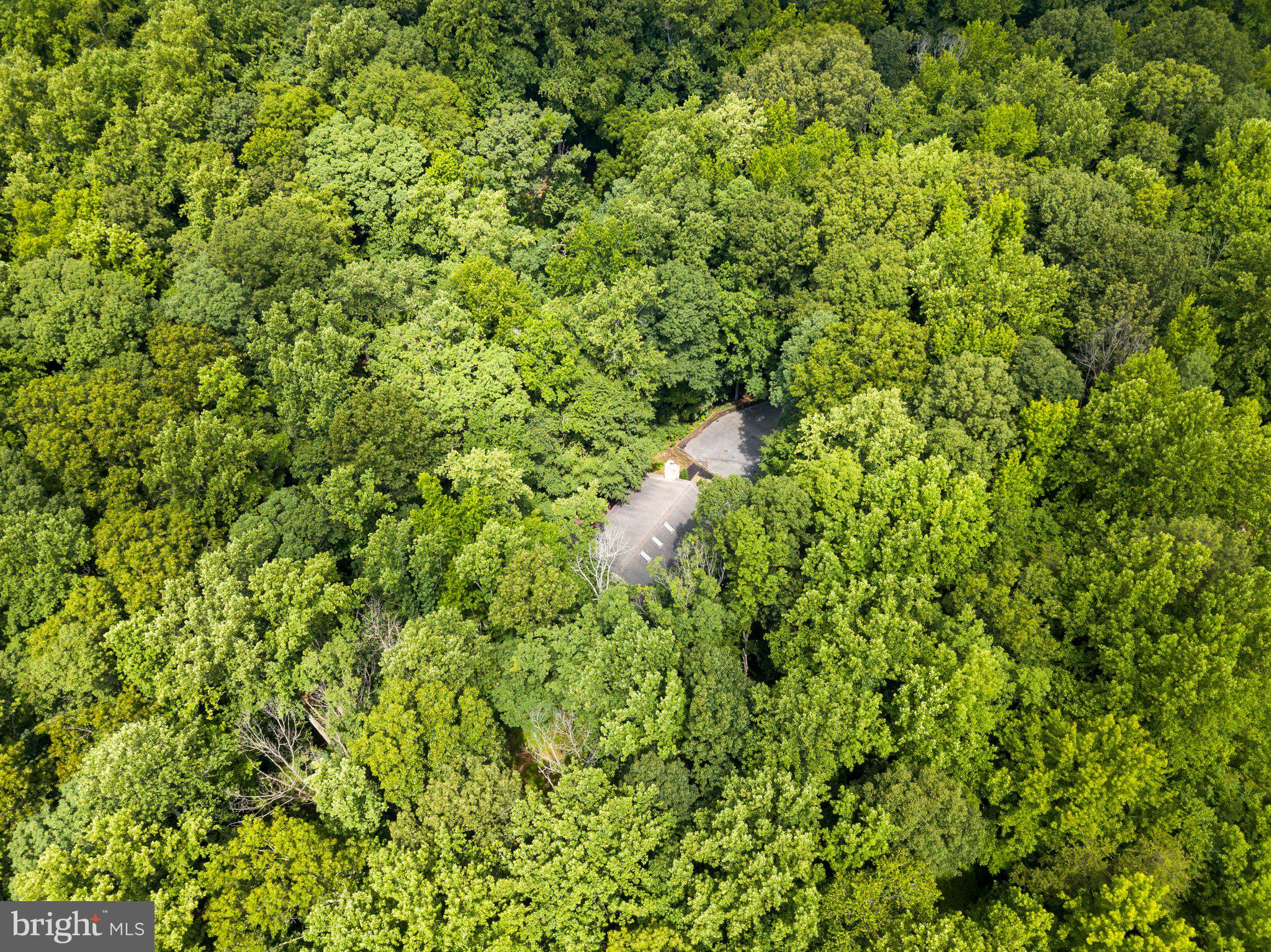 810 Governor Bridge Road Davidsonville, MD 21035 - Photo 55 of 57