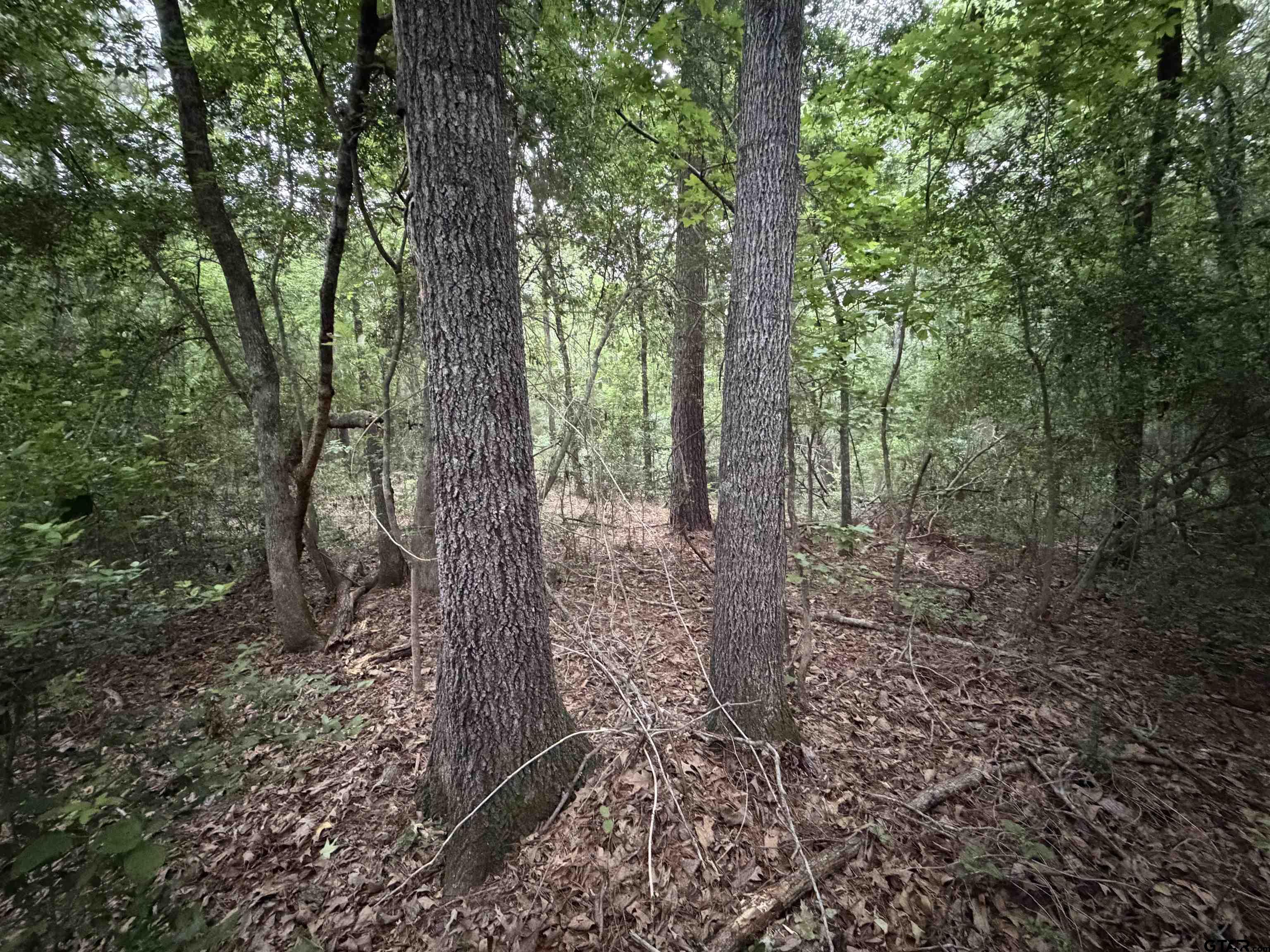 1204 County Road 1204 Rusk, TX 75785 - Photo 9 of 13