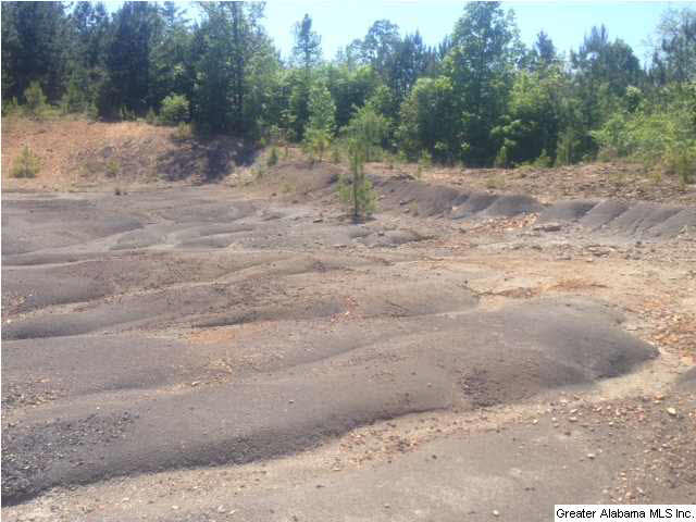 0 Blackjack Road, Unit 11 Trussville, AL 35173 - Photo 2 of 4