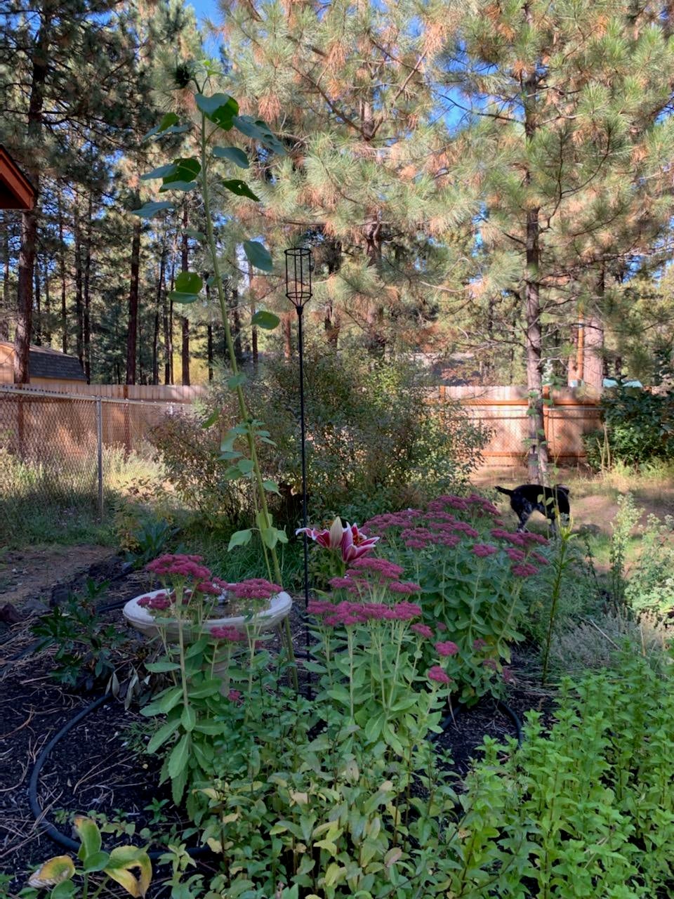 17168 Norwalk Road Bend, OR 97707 - Photo 48 of 48 summer photo by owner