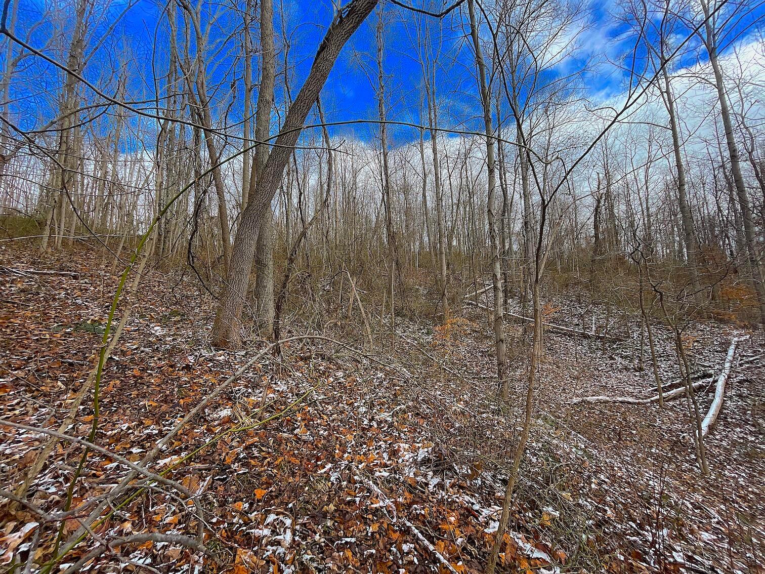 0 Hunting Run Road Lucasville, OH 45648 - Photo 14 of 39 IMG_0545