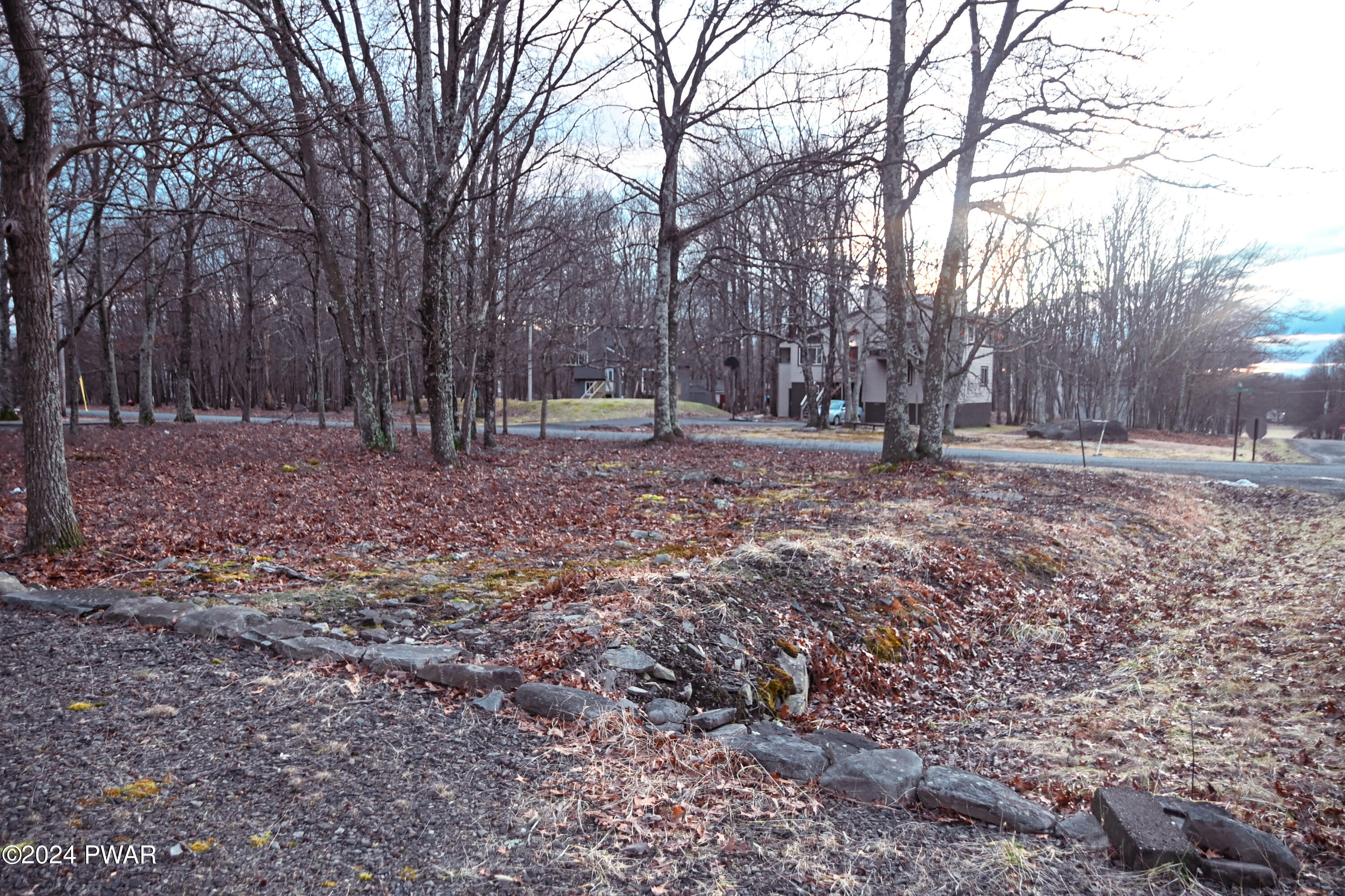 119 Pike Road Bushkill, PA 18324 - Photo 16 of 16 a view of a yard with a tree