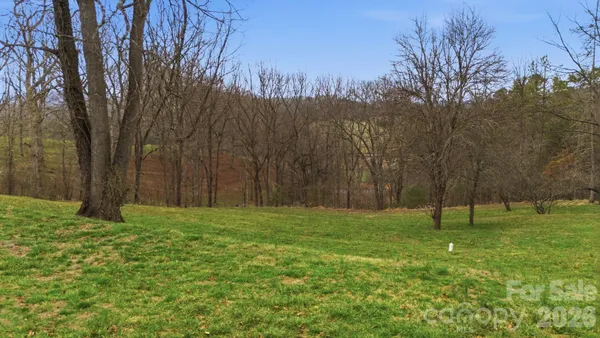 a big yard with lots of green space and trees