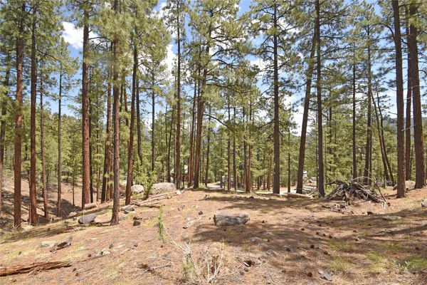 $55,000 | Lot 6 Cool Pines, Jemez Springs, NM 87025