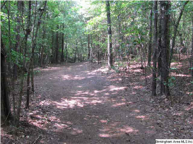 100 Cahaba Oaks Trail Pelham, AL 35124 - Photo 17 of 24