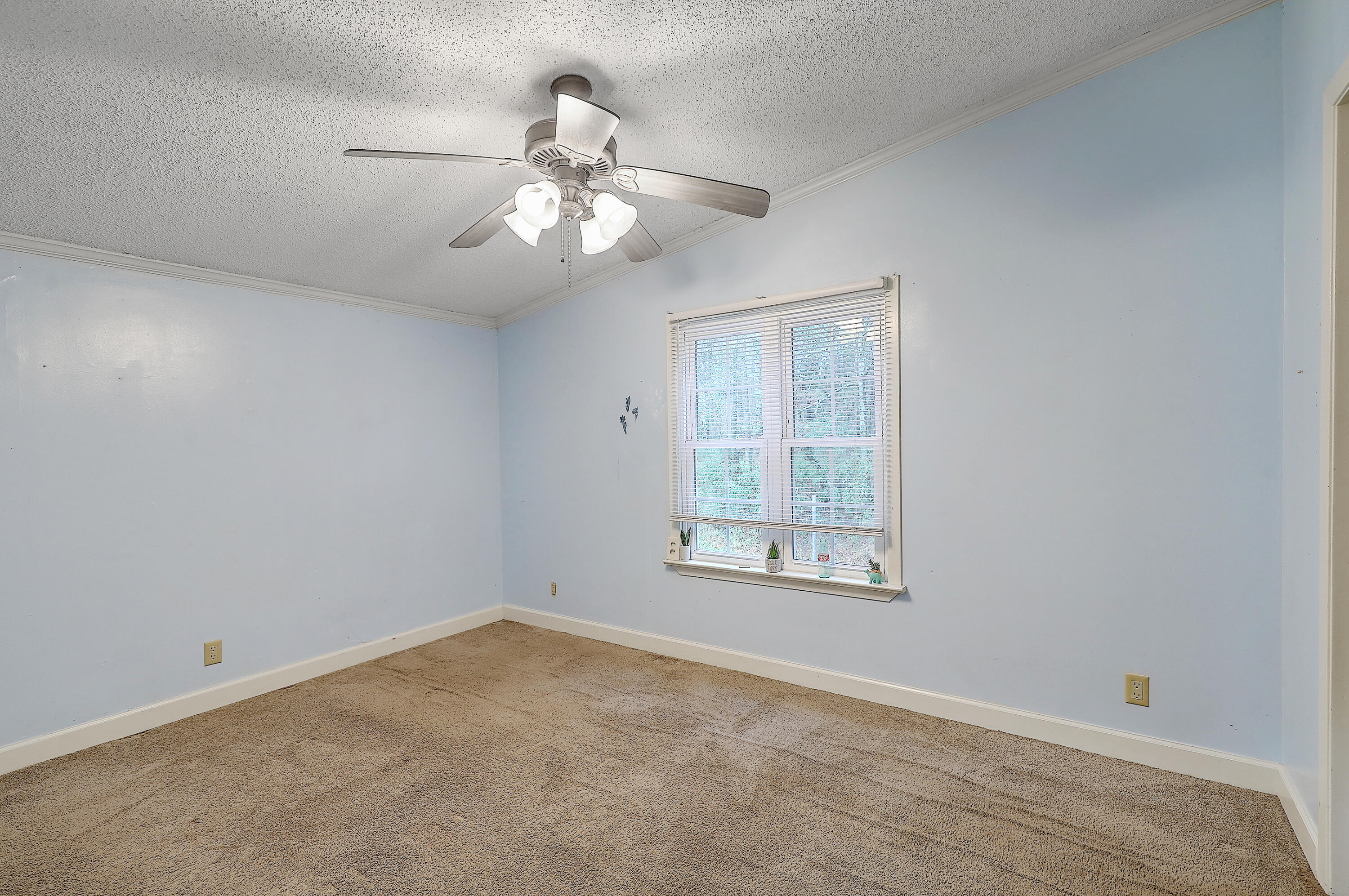 191 Wagon Trail Road Ridgeville, SC 29472 - Photo 22 of 25 1R3A9673_4_5_6_7_8_9