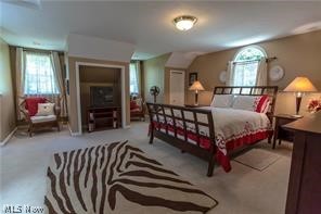 6515 Chagrin River Road Chagrin Falls, OH 44022 - Photo 16 of 28 Guest suite