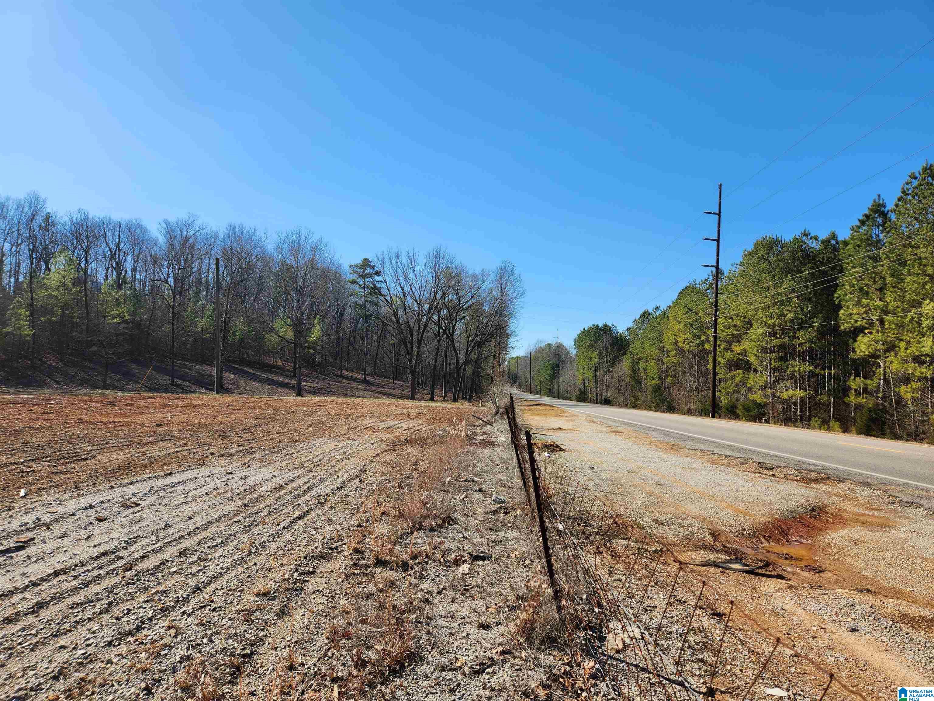 0 Spring Creek Road, Unit 3 Columbiana, AL 35051 - Photo 12 of 14